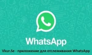 Как отслеживать сообщения WhatsApp – вопросы, ответы, рекомендации