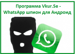 Как работает WhatsApp шпион для Андроид: скачать шпиона в Казахстане