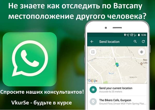 WhatsApp: как отследить человека – инструкция