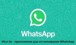 Как отслеживать сообщения WhatsApp – вопросы, ответы, рекомендации