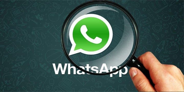Как читать Whatsapp другого человека: 9 способов